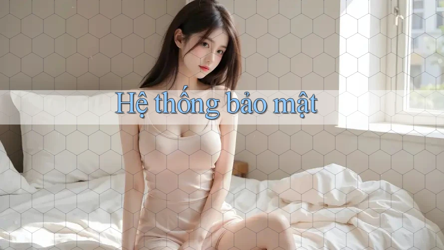 Hệ thống bảo mật