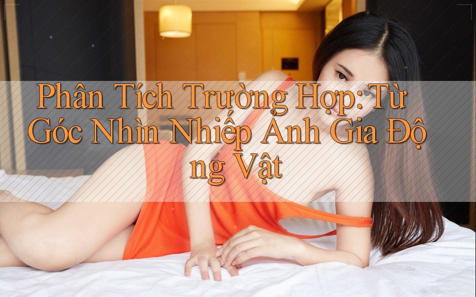 Phân Tích Trường Hợp: Từ Góc Nhìn Nhiếp Ảnh Gia Động Vật Phân Tích Trường Hợp: Từ Góc Nhìn Nhiếp Ảnh Gia Động Vật
