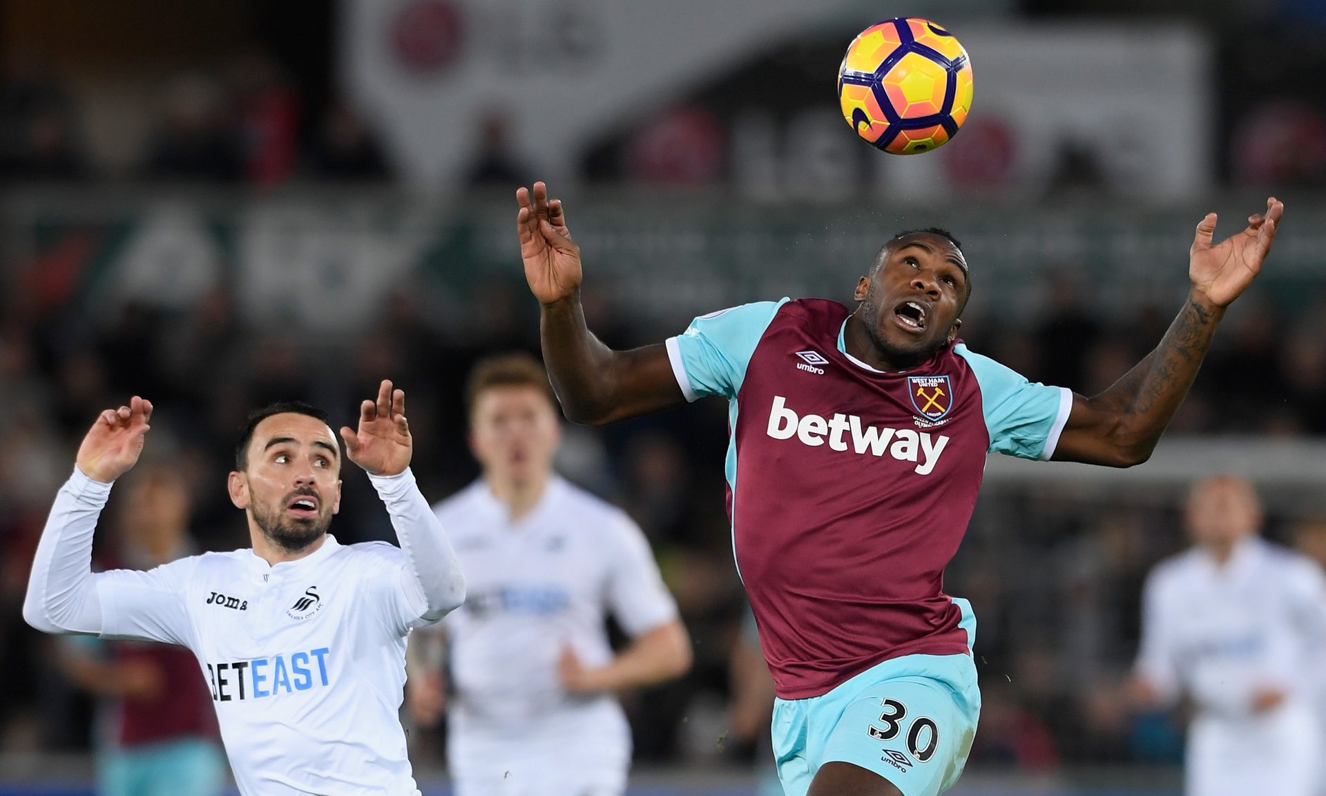 能教练在训 能教练在训